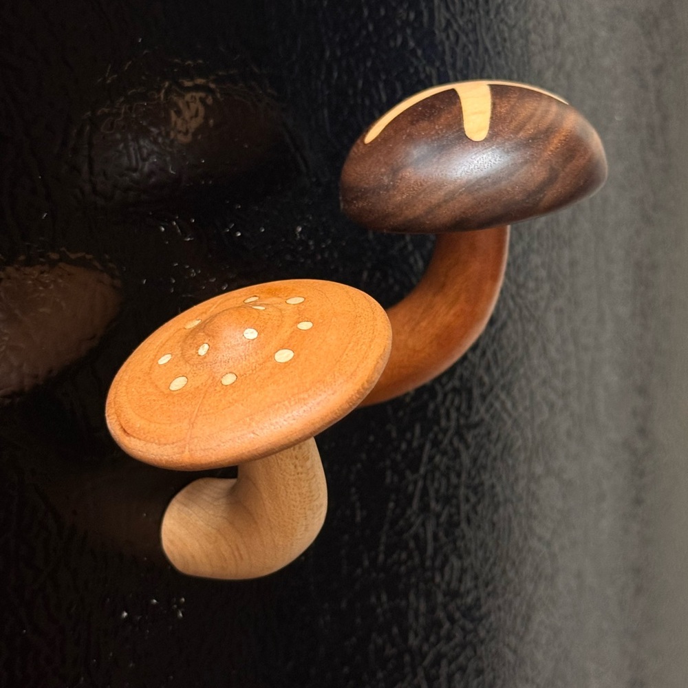 Wooden Mushroom refrigerator magnet set（2 mushroom）